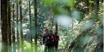 The “forest chief” scheme leads to lusher mountains in central China’s Hunan province