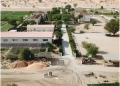 China’s “king of forages” paves way to prosperity for Mauritanian herdsmen