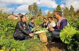 China playing prominent role in coping with global challenges