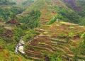 China promotes conservation, utilization of Globally Important Agricultural Heritage Systems