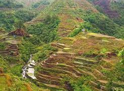 China promotes conservation, utilization of Globally Important Agricultural Heritage Systems