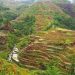 China promotes conservation, utilization of Globally Important Agricultural Heritage Systems