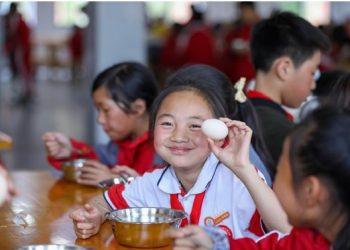 Nutrition improvement program for rural students in compulsory education benefits 350 million Chinese students