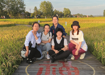 Internet thinking gives a boost to rice business in northeast China