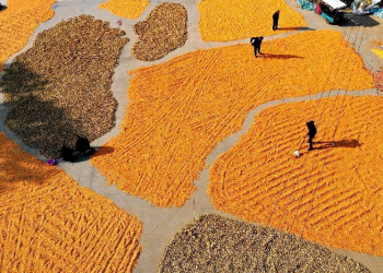 China celebrates fifth Chinese farmers’ harvest festival