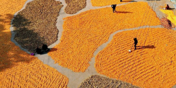 China celebrates fifth Chinese farmers’ harvest festival