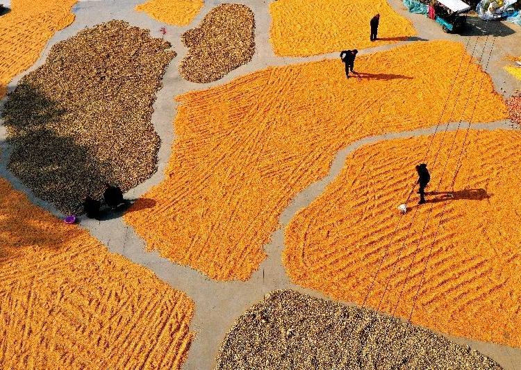 China celebrates fifth Chinese farmers’ harvest festival