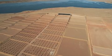 Saline-alkali soil turned into valuable assets in Ningxia Hui autonomous region