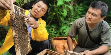 China enhances efforts to promote biodiversity conservation