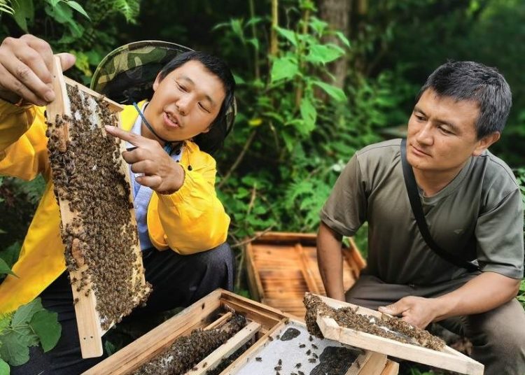 China enhances efforts to promote biodiversity conservation