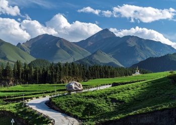 China accelerates green, low-carbon development
