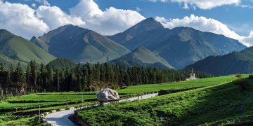 China accelerates green, low-carbon development