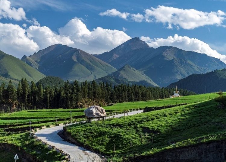 China accelerates green, low-carbon development