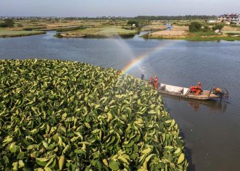 Irrigation project in Jiangsu gets world heritage designation