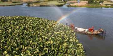 Irrigation project in Jiangsu gets world heritage designation