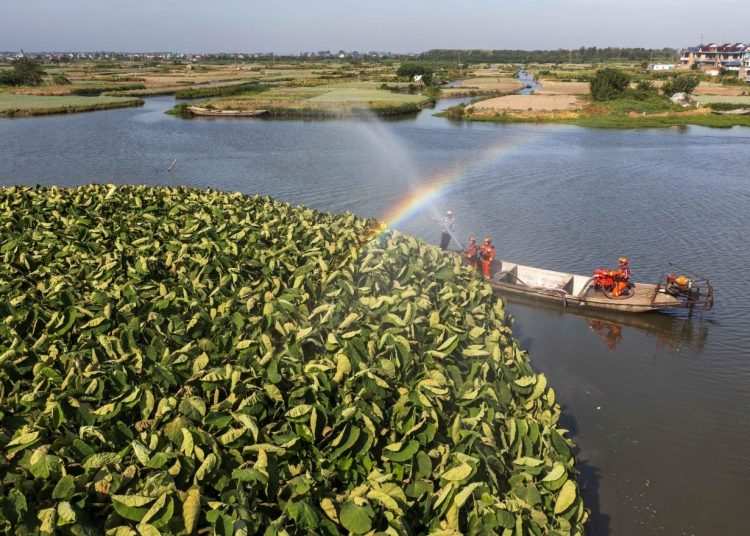 Irrigation project in Jiangsu gets world heritage designation