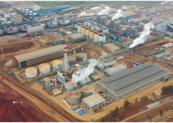 Chinese enterprises prosper in overseas market