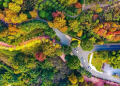 Chinese tourism bucks trend in 2022