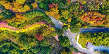 Chinese tourism bucks trend in 2022