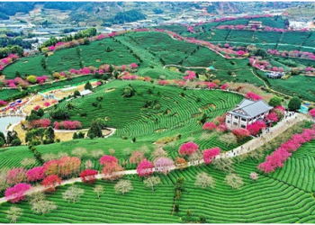 Wuyishan National Park strikes balance between ecological conservation, local development