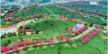 Wuyishan National Park strikes balance between ecological conservation, local development