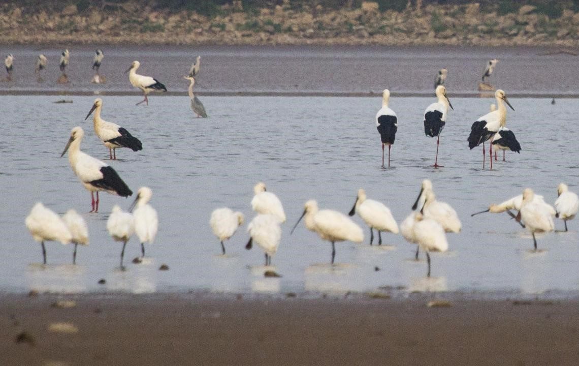 Jointly mapping out new blueprint for global biodiversity conservation