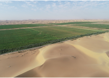 China, Arab states deepen cooperation on water conservation in agriculture