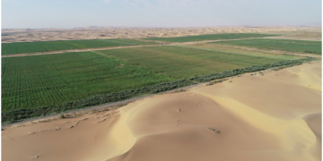 China, Arab states deepen cooperation on water conservation in agriculture