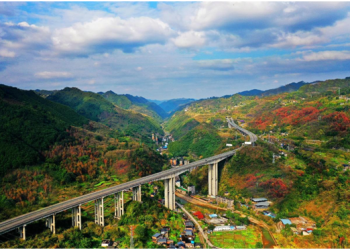 Chongqing vigorously develops green finance