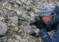 Story behind re-germination of seeds collected on Mount Qomolangma