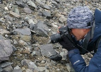 Story behind re-germination of seeds collected on Mount Qomolangma