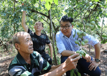 Green financing makes development even greener