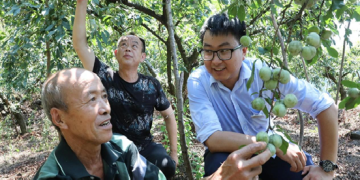 Green financing makes development even greener