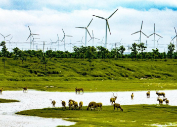 IAEA report cannot justify Japan’s wastewater discharge plan