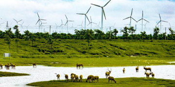 IAEA report cannot justify Japan’s wastewater discharge plan