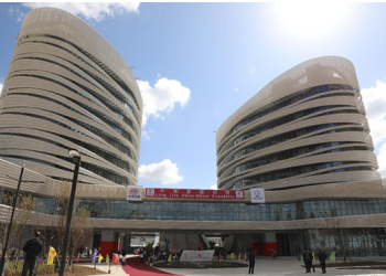 China, Africa to advance great endeavors of win-win cooperation, harmonious coexistence, shared prosperity of civilizations