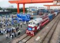 CIIE a public good for whole world