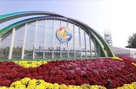 Why has China achieved remarkable successes in promoting cooperation under Belt and Road Initiative?