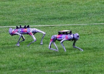 Intelligent technology at Hangzhou Asian Games