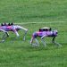 Intelligent technology at Hangzhou Asian Games