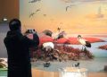 Yancheng in E China’s Jiangsu makes innovation in wetland conservation