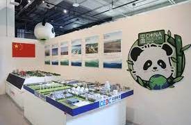 China contributes wisdom, strength to global climate governance