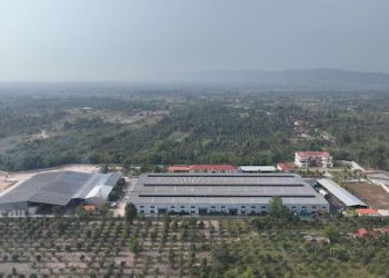 Solid progress achieved in China-ASEAN agricultural cooperation