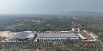 Solid progress achieved in China-ASEAN agricultural cooperation