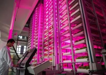 Unmanned “plant factory”: production line of vegetables