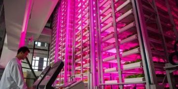 Unmanned “plant factory”: production line of vegetables