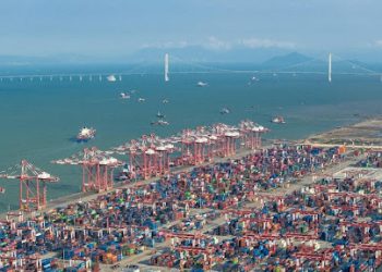China upholds win-win cooperation, promotes economic globalization