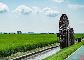 China upholds fairness, justice, promotes world multi-polarity