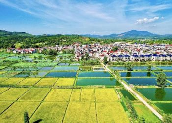 Sound mountain ecology contributes to prosperity in China’s Fujian
