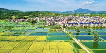 Sound mountain ecology contributes to prosperity in China’s Fujian